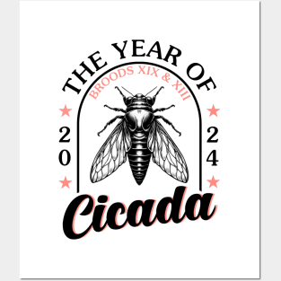 Cicada broods xix & xiii Posters and Art